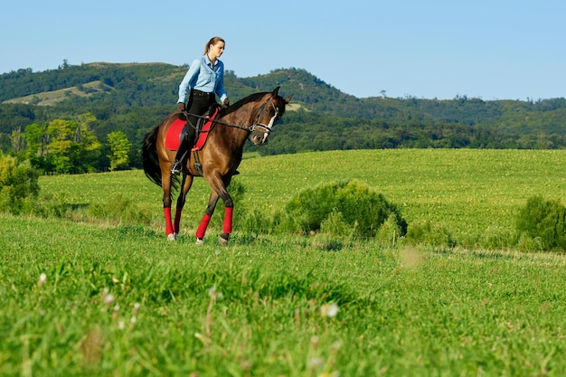 Desfrutando de passeios a cavalo na natureza