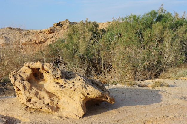 Desierto de Arava en los primeros rayos del sol