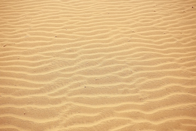 Foto desierto de arena de fondo / fondo vacío abstracto, arena del desierto de textura, olas, dunas de arena