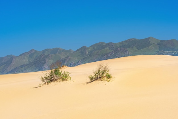Desierto de arena y montañas en el paisaje de distancia en la duna Sarykum en Daguestán