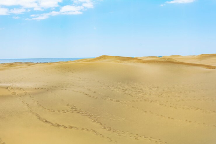 Desierto de arena.
