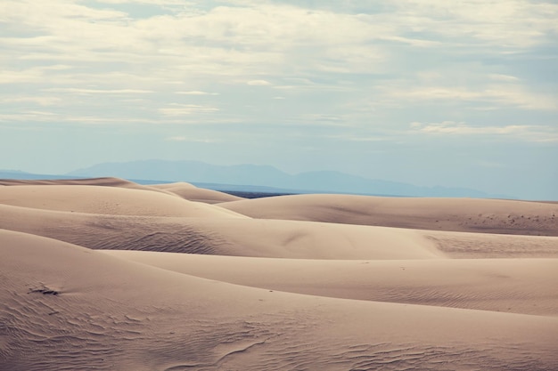 Desierto de arena