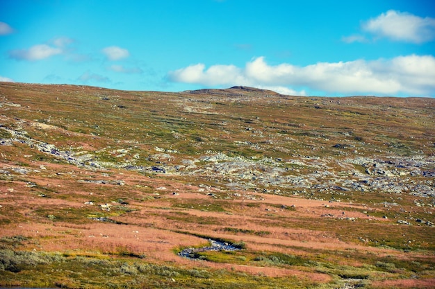 Desierto ártico tundra paisaje minimalista Naturaleza de Noruega