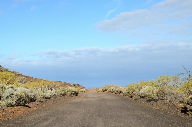 Foto desierto de carreteras