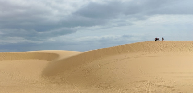 El desierto con cielo azul con nubes en el día soleado