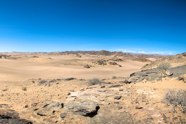 El desierto de la costa de los esqueletos