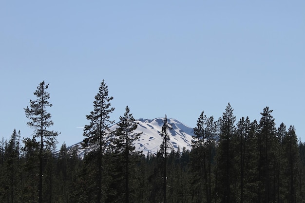 Desierto de Deschutes