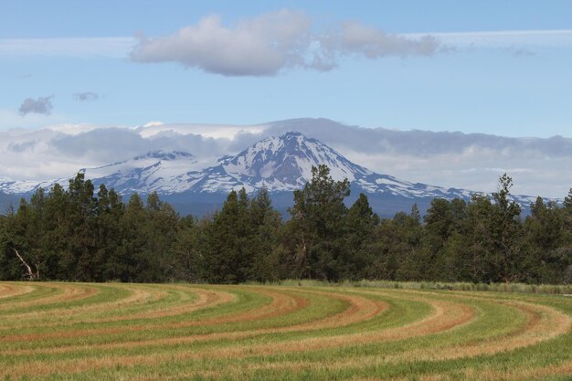 Desierto de Deschutes