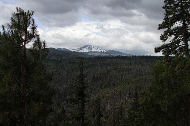 Desierto de Deschutes