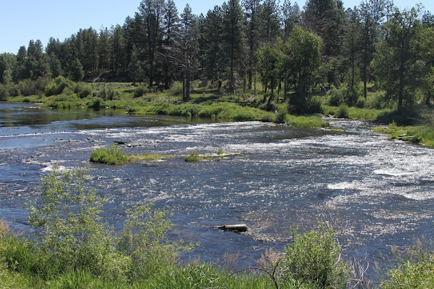 Desierto de Deschutes