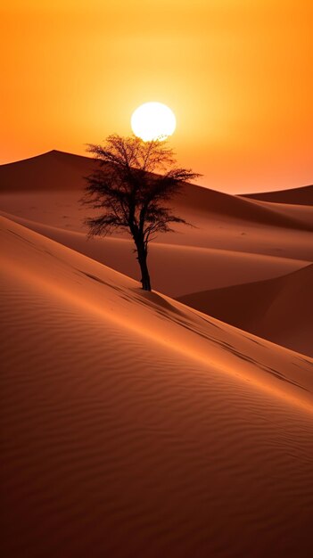 desierto de dunas de arena con un árbol