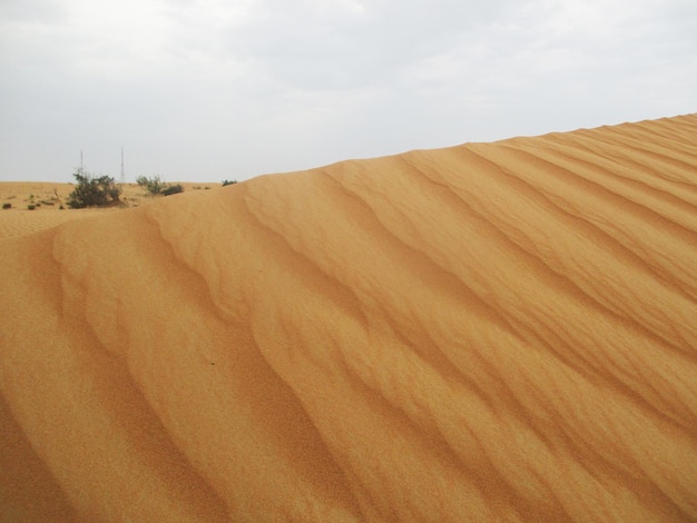 desierto con dunas de arena de colores cálidos