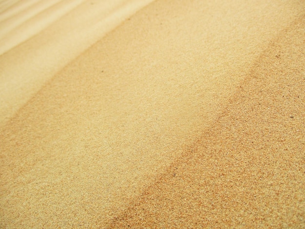 Foto desierto con dunas de arena de colores cálidos