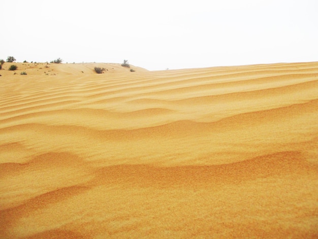 desierto con dunas de arena de colores cálidos