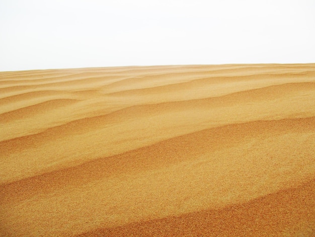 Foto desierto con dunas de arena de colores cálidos