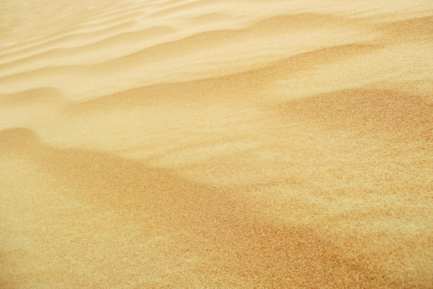 Foto desierto con dunas de arena de colores cálidos