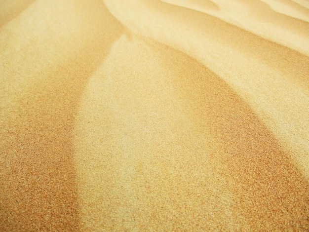 Foto desierto con dunas de arena de colores cálidos