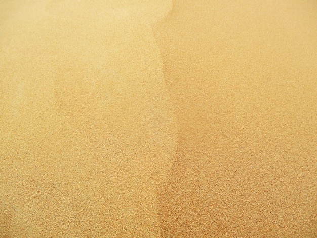 desierto con dunas de arena de colores cálidos