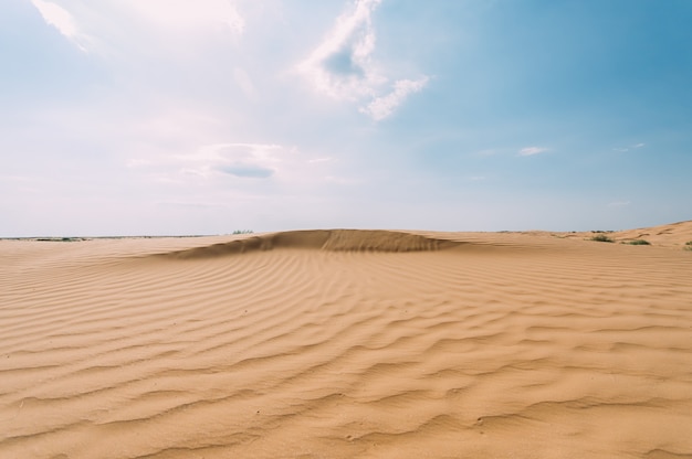 Foto desierto con dunas de arena en un día claro y soleado. paisaje del desierto