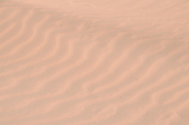 Foto desierto de dunas de arena en la isla de maspalomas gran canaria españa