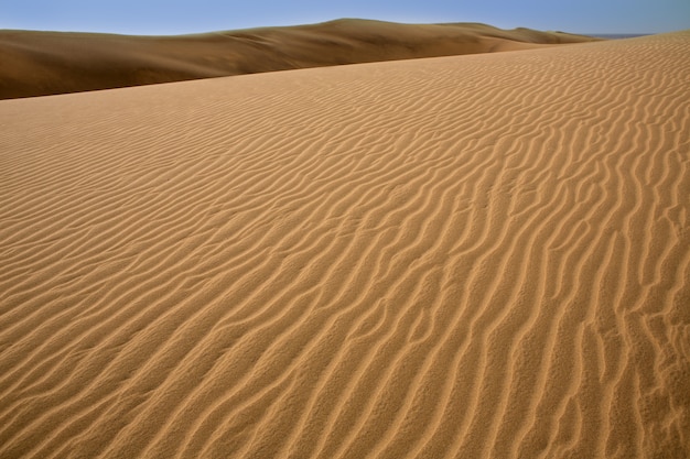 Desierto de dunas de arena en maspalomas gran canaria.