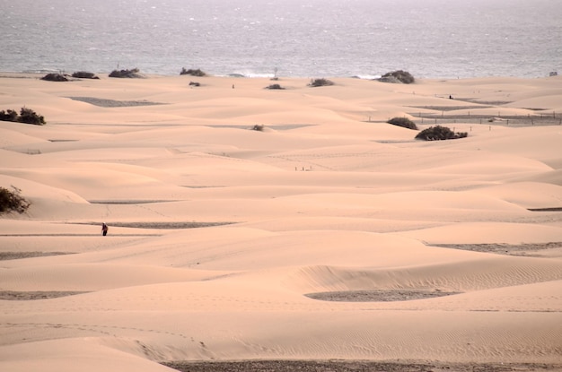 El desierto de dunas de arena en Maspalomas