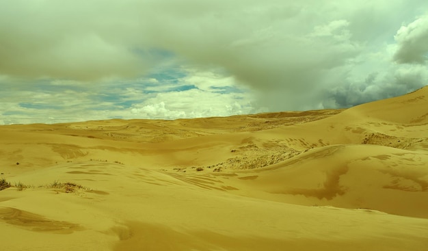 Desierto de dunas de arena de Mongolia Sands Mongol Els