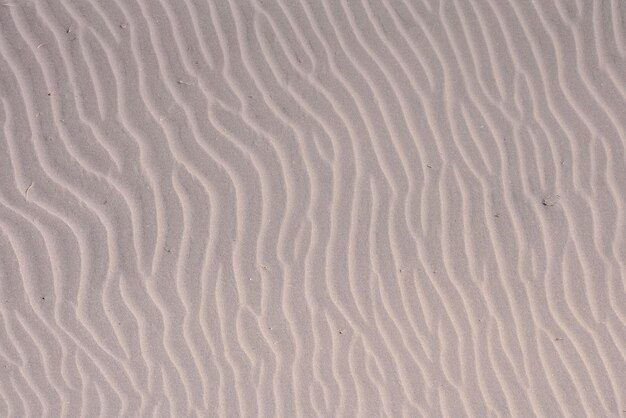 Desierto de dunas de arena de textura en la isla de Gran Canaria España