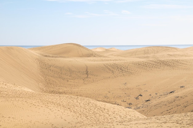 Desierto de dunas de arena