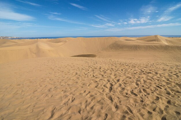 Desierto de dunas de arena