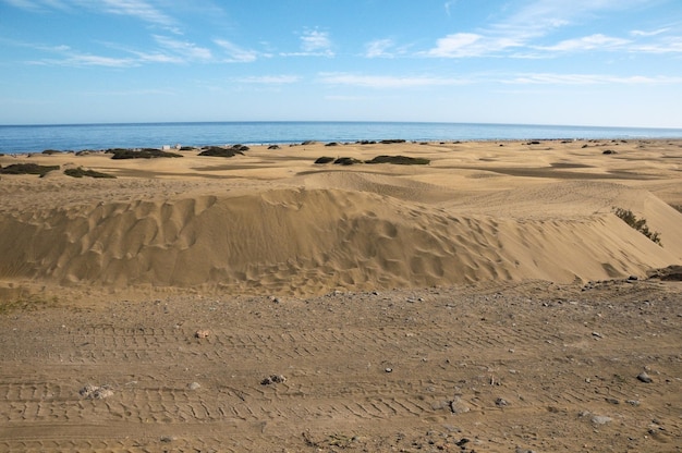 Desierto de dunas de arena