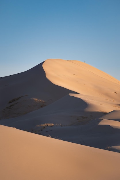 Desierto con dunas