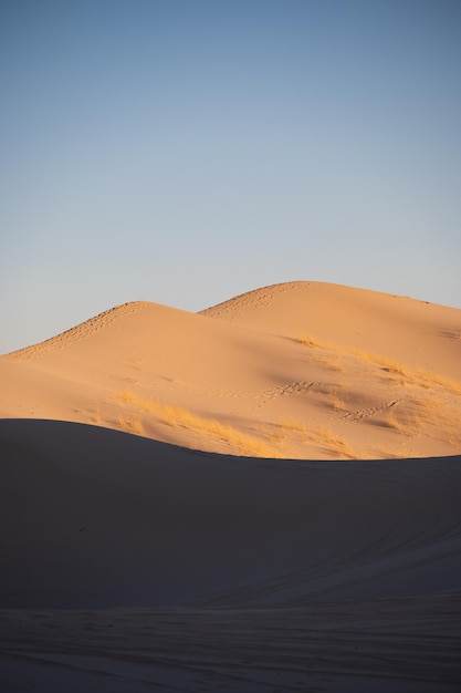 Desierto con dunas