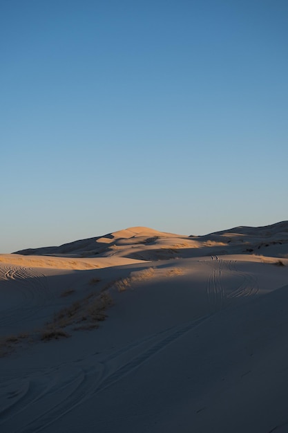 Desierto con dunas