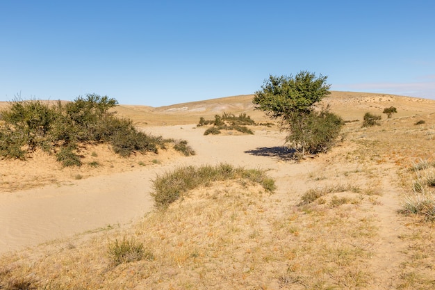 Desierto de Gobi mongolia