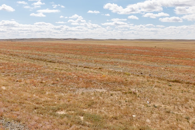 Desierto de Gobi mongolia