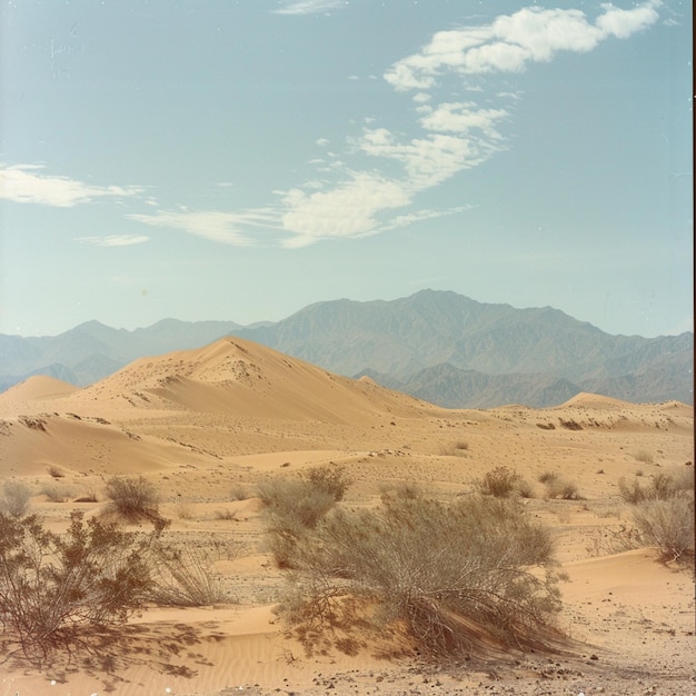 un desierto con montañas en el fondo y un desierto en el fondo