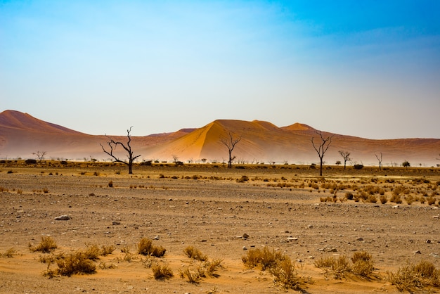 El desierto de Namib, en el maravilloso Parque Nacional Namib Naukluft