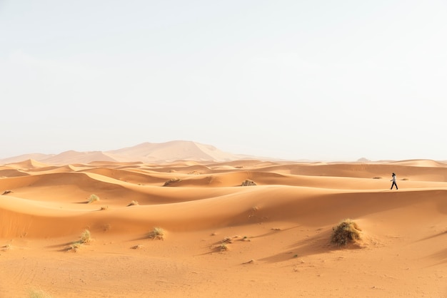 Desierto de oro al atardecer. Marruecos.