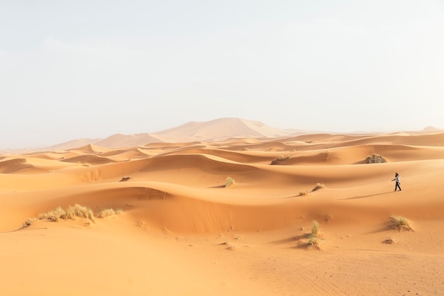 Desierto de oro al atardecer. Marruecos.