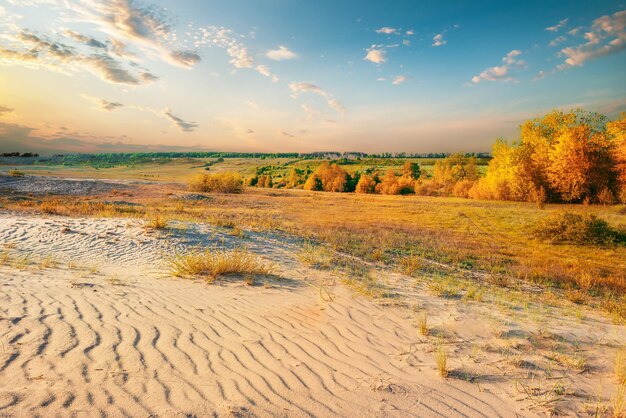 desierto en otoño