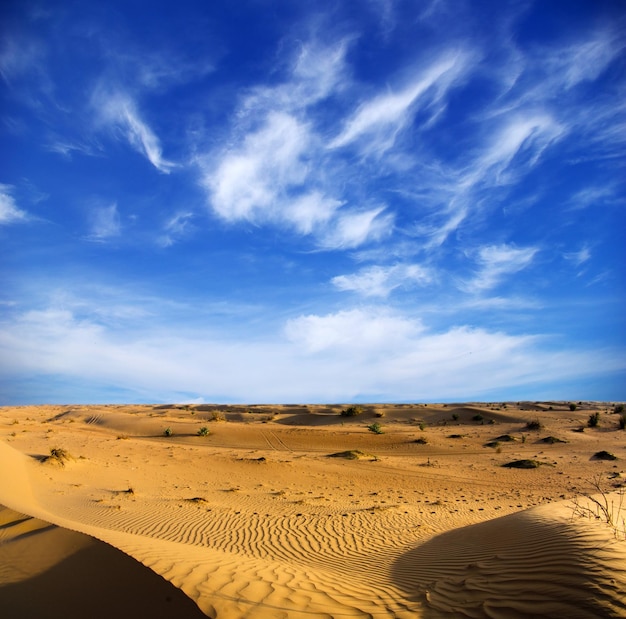 desierto paisaje