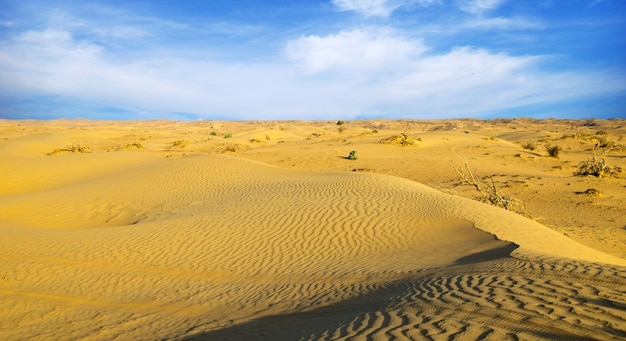 desierto paisaje