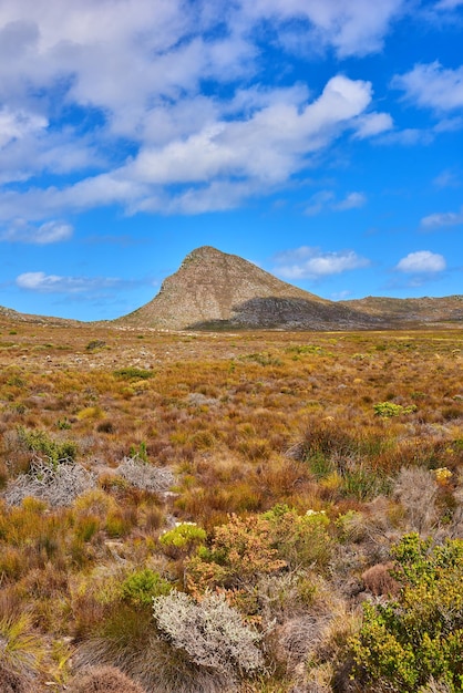 El desierto del Parque Nacional Cape Point Copie el espacio con el paisaje de Lions Head en el Parque Nacional Table Mountain en Ciudad del Cabo contra un fondo de cielo azul nublado Una vista panorámica