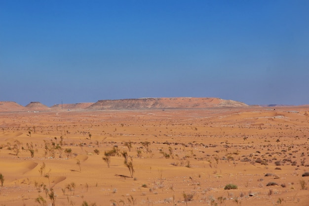 Desierto del sahara en el corazón de áfrica