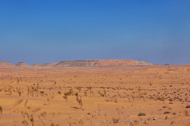 Desierto del Sahara en el corazón de África