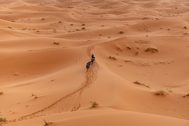 Desierto del Sahara en Marrakech, Marruecos