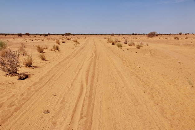 Desierto del Sahara en Sudán