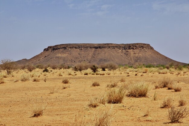 Desierto del Sahara de Sudán