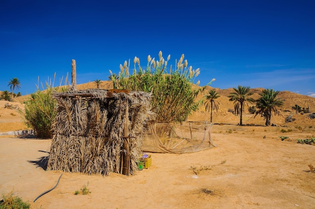 En el desierto del Sahara Túnez África del Norte